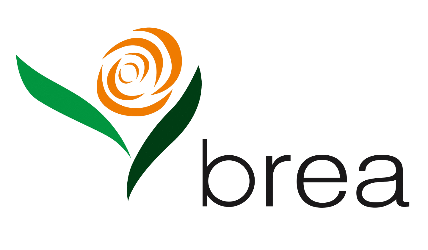 logo light